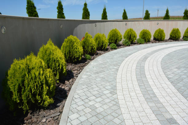 Best Best Driveway Pavers  in St Louis Park, MN